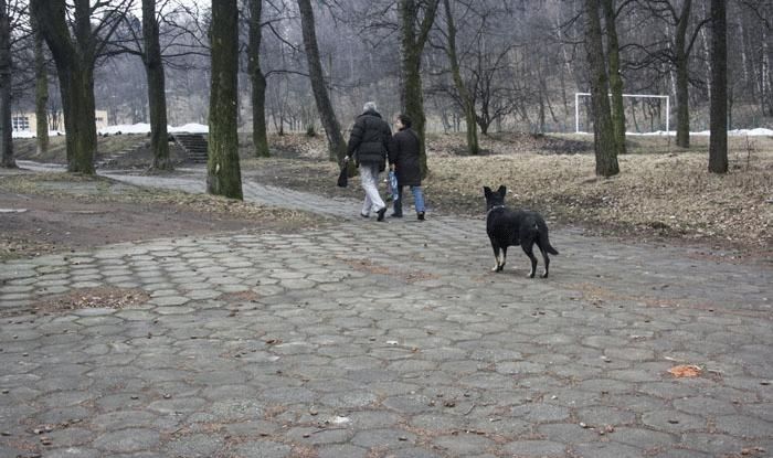 Wałbrzych/powiat wałbrzyski: Czy seniorzy przestrzegają zasad?
