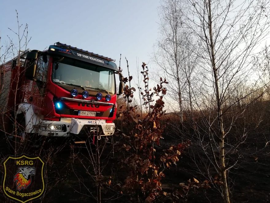 REGION, Stare Bogaczowice: Interweniują niemal codziennie