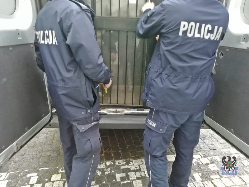 REGION, Boguszów-Gorce: Kradł zamiast pracować