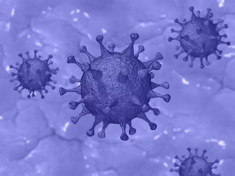 Wałbrzych/REGION: Pandemia nas nie opuszcza