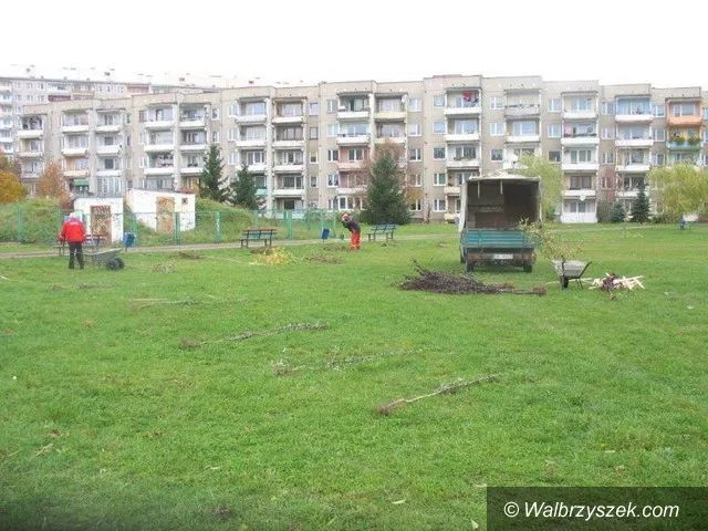 Wałbrzych: Drzewa za frekwencję
