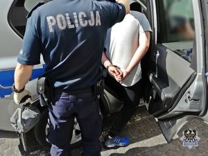 Wałbrzych/powiat wałbrzyski: To już plaga