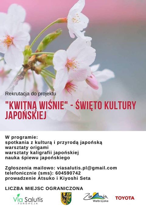 powiat wałbrzyski: Japońskie klimaty