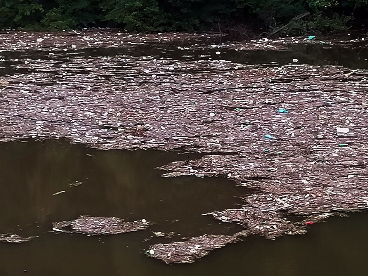 REGION, Zagórze Śląskie: Zanieczyszczone jezioro
