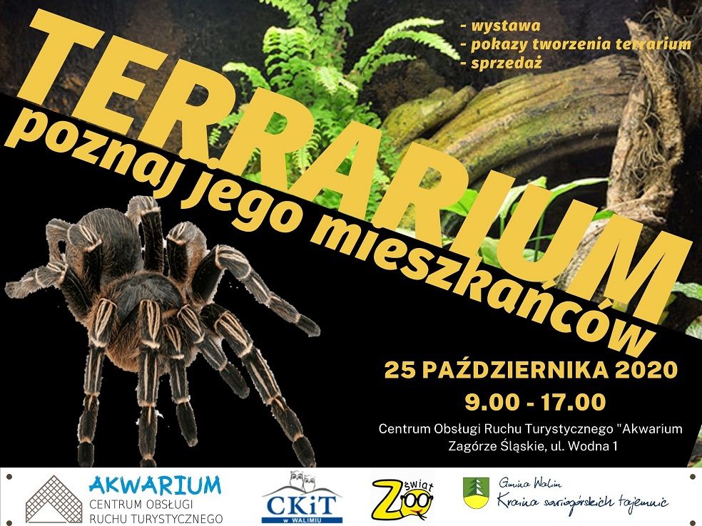 REGION, Zagórze Śląskie: Niezwykli mieszkańcy terrariów