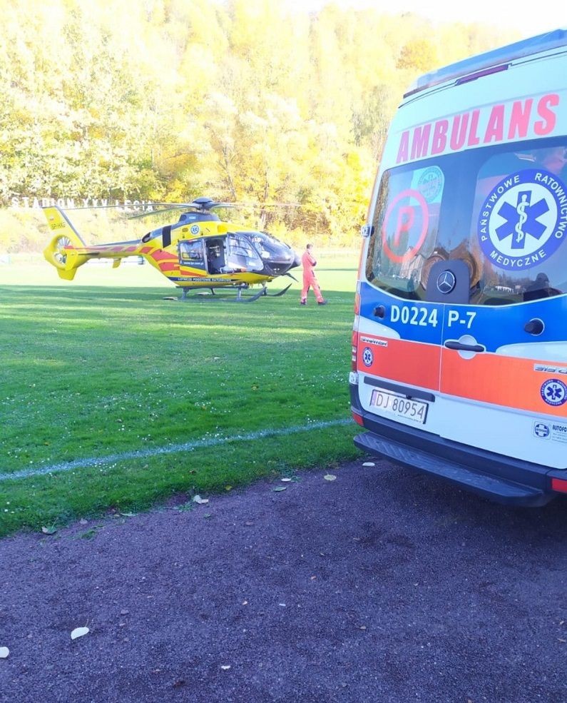 REGION, Boguszów-Gorce: Pies pogryzł 9–latkę