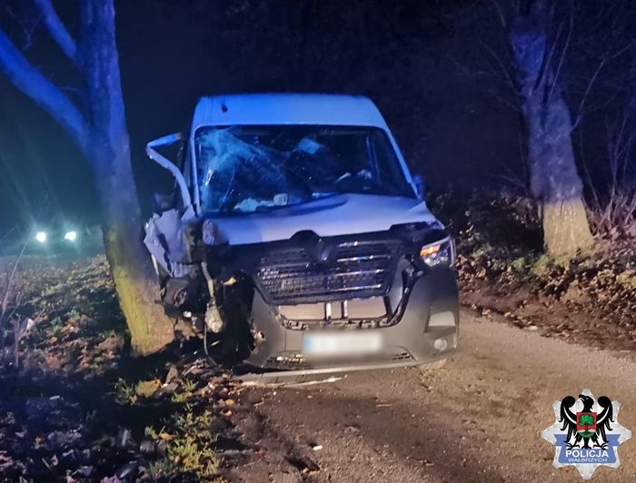 REGION, Dziećmorowice: Po pijanemu w drzewo