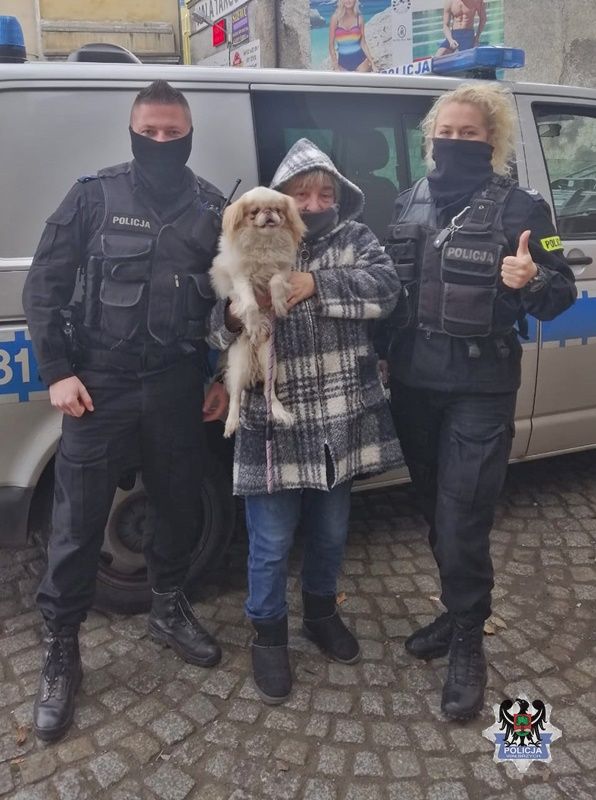 Wałbrzych: Odnaleźli Aresa