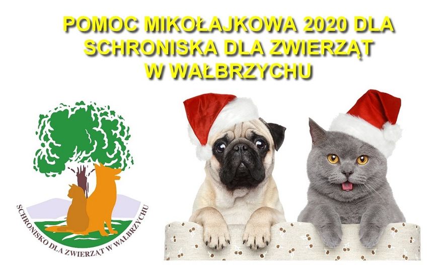 Wałbrzych: Akcja mikołajkowa dla zwierząt