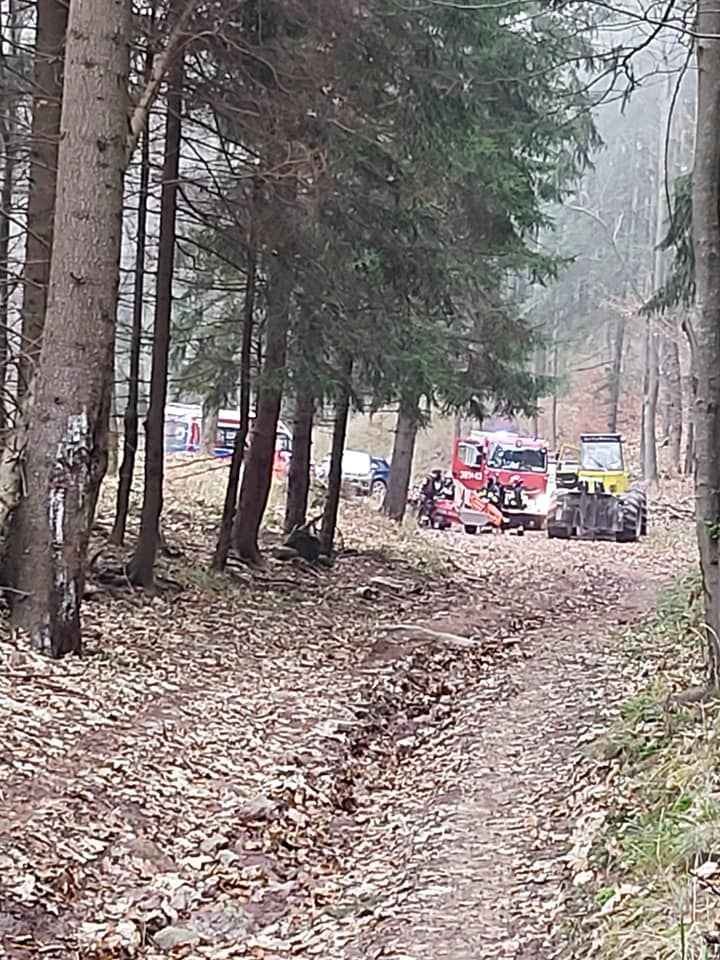 REGION, Sokołowsko: Zginął pod kołami