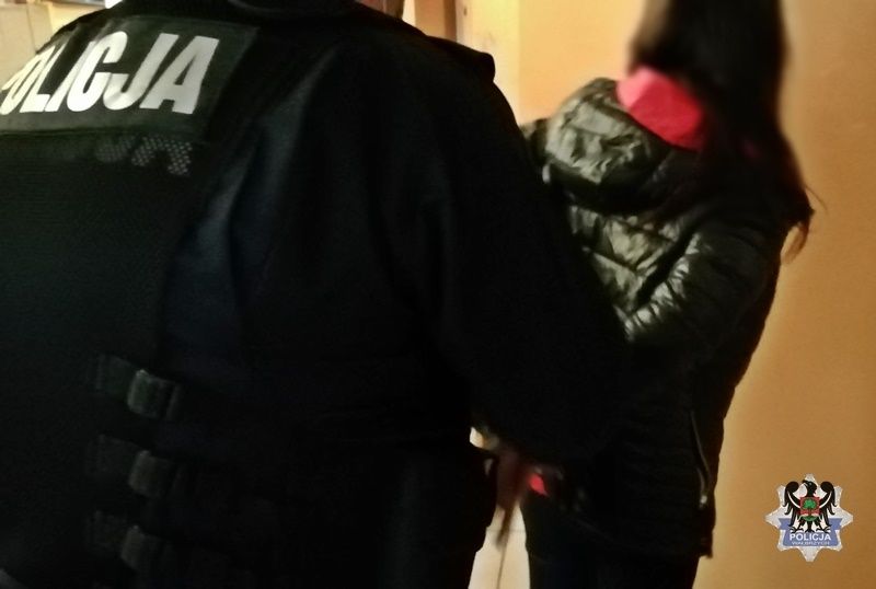 Wałbrzych/powiat wałbrzyski: Zatrzymani na drogach