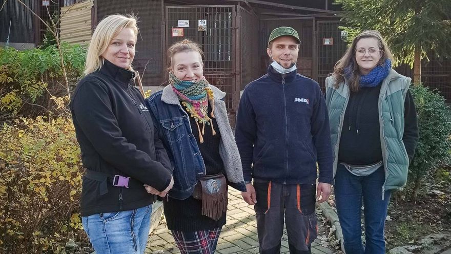 Wałbrzych: Zwierzęcy projekt