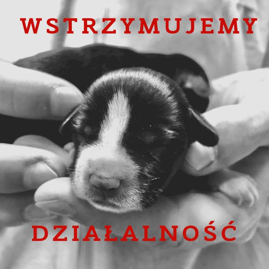 REGION: DIOZ wstrzymał działalność