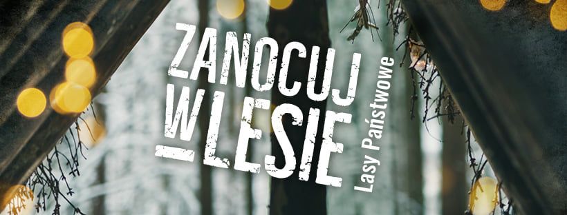 Wałbrzych/Kraj: Nocowanie w lesie