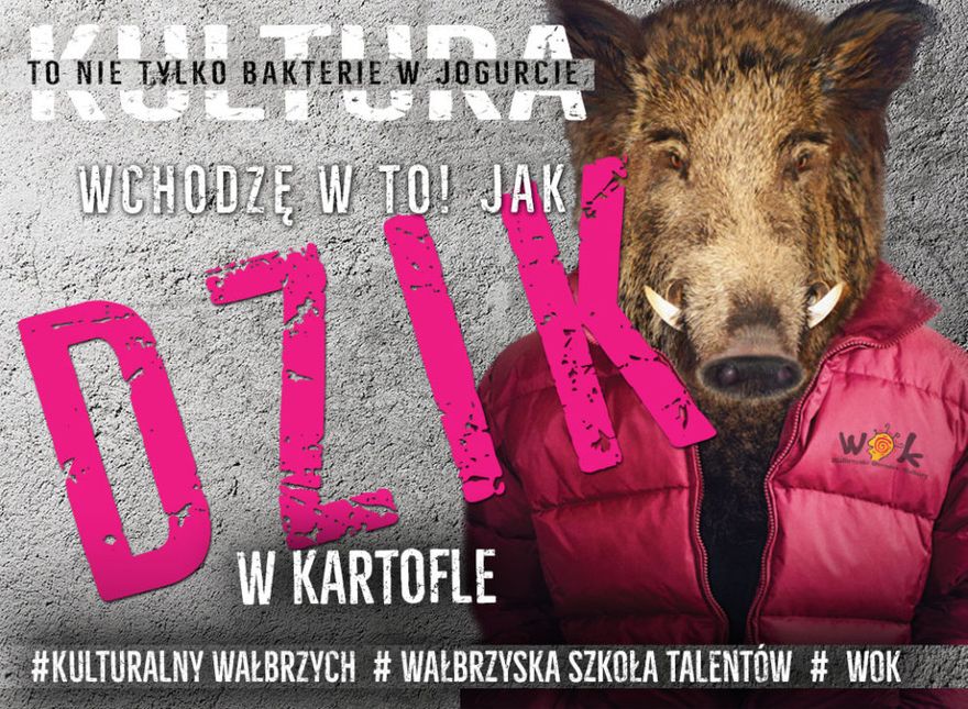 Wałbrzych: WOK zaprasza