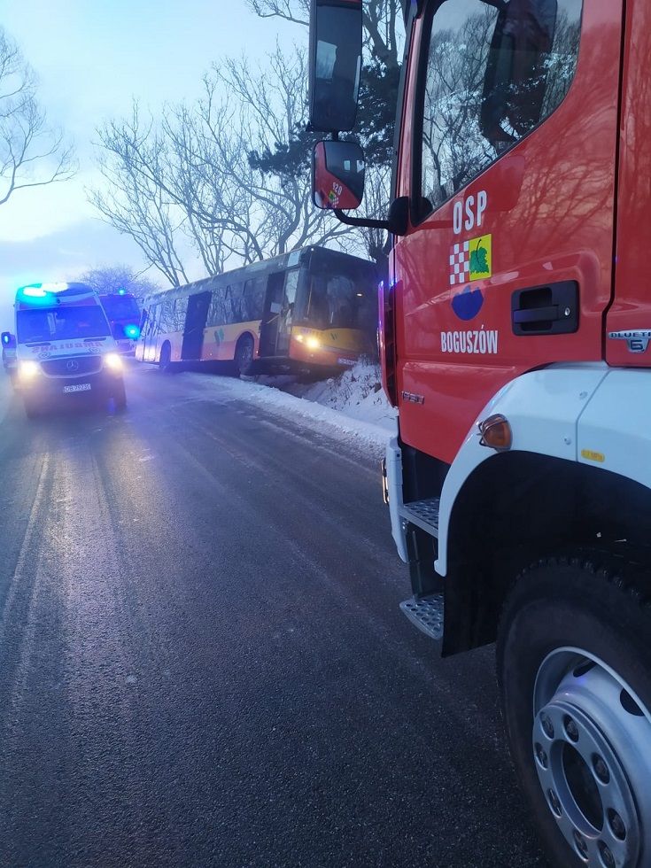 REGION, Stary Lesieniec: Autobusem w drzewo