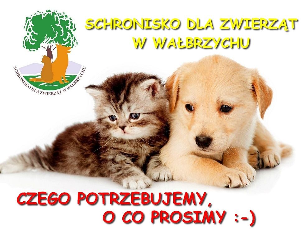 Wałbrzych: Możesz pomóc Schronisku