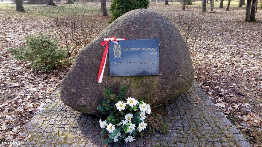 Wałbrzych/REGION: Konkurs dla uczniów