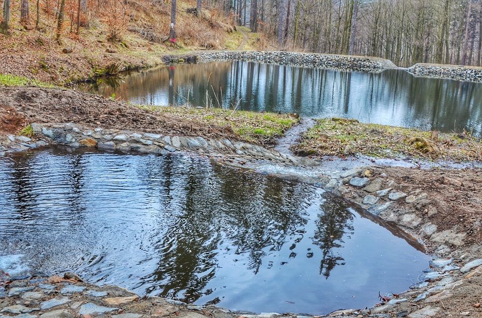 REGION, Jedlina-Zdrój: Więcej wody w lesie