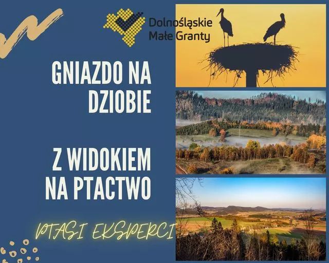 REGION, Mieroszów: Stworzą punkt widokowy