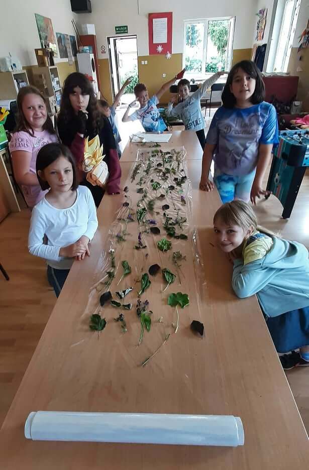 REGION, Czarny Bór: Wakacje z wolnego wybiegu