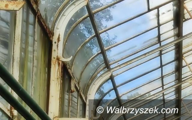 Wałbrzych: Szklarnie do naprawy