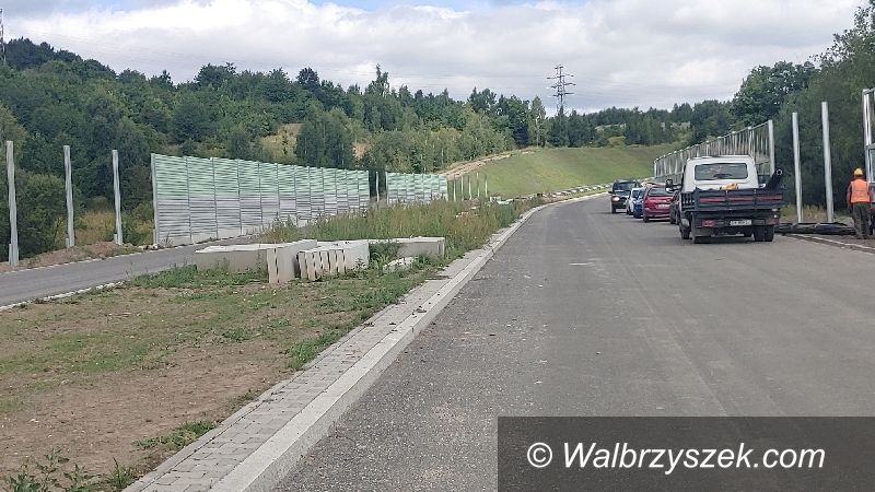 Wałbrzych: Posadzą bluszcz