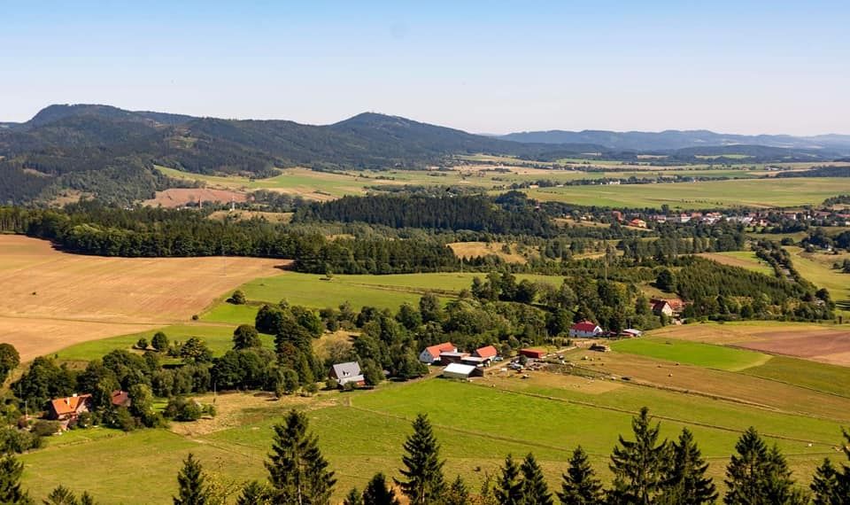 REGION, Mieroszów: Widoki na ptactwo