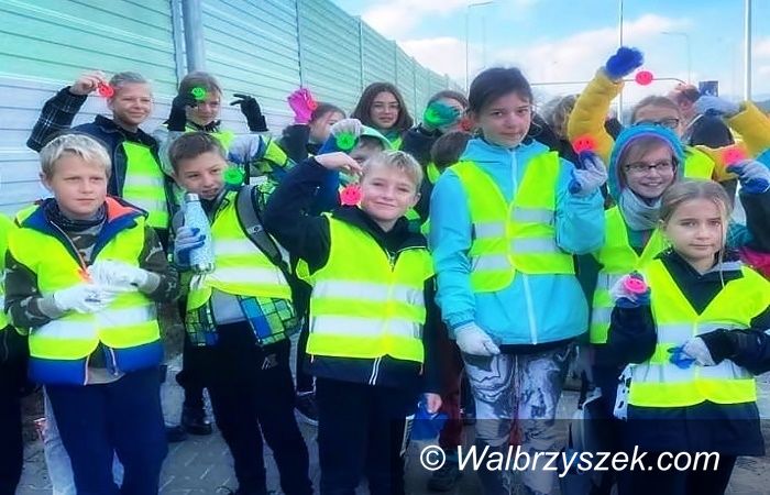 Wałbrzych: Bluszcz dobry na wszystko
