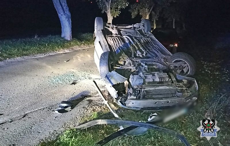 Stary Julianów: Uderzył w drzewo