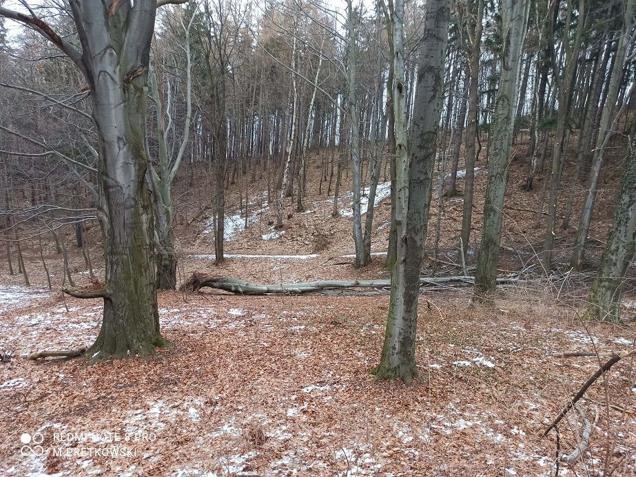 REGION, Szczawno-Zdrój: Niszczycielski wiatr