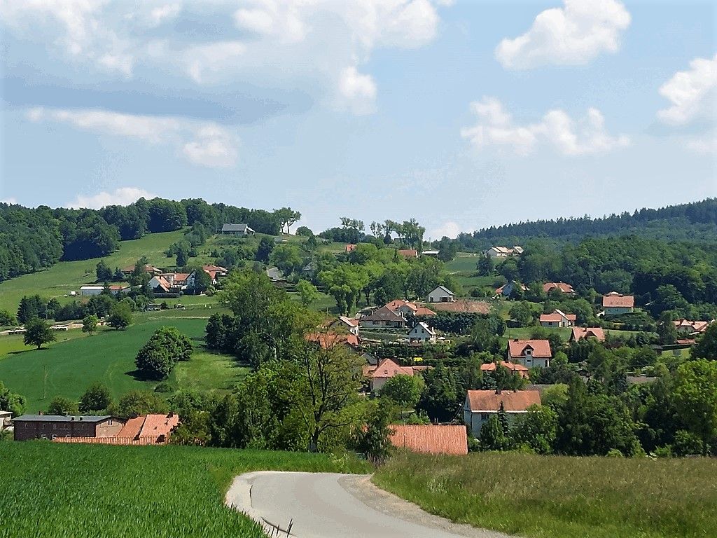 REGION, Walim: Powstanie nowe sołectwo?