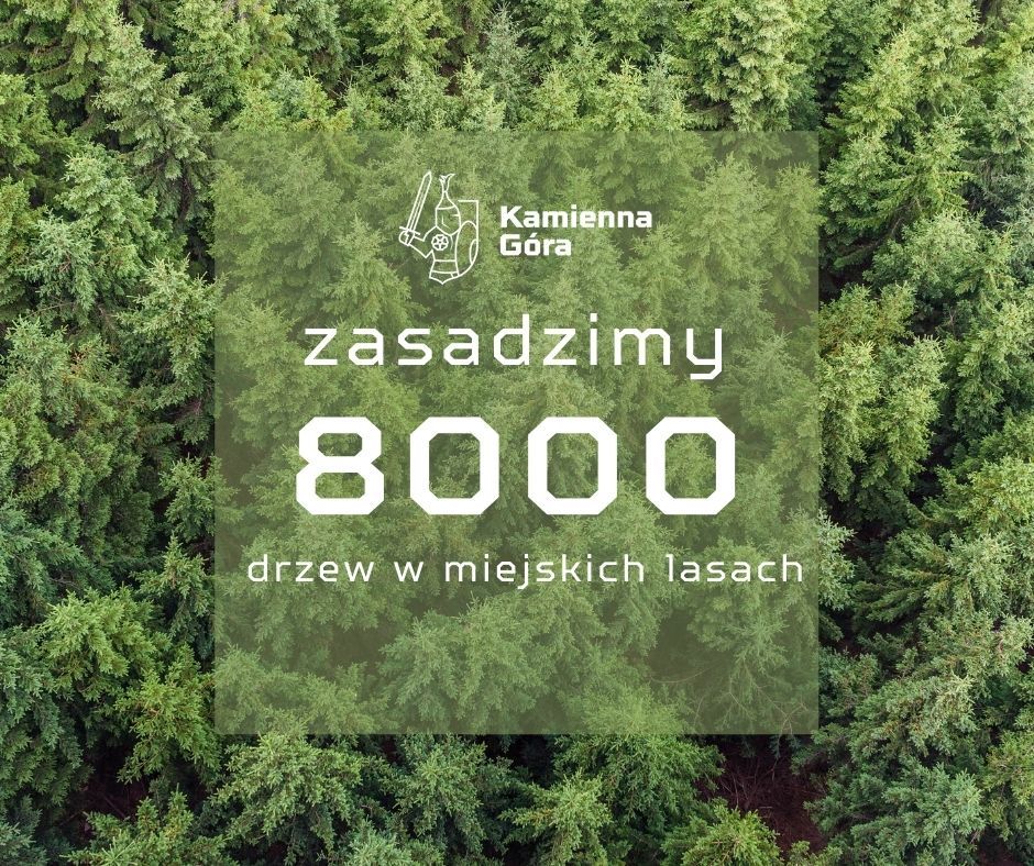 REGION, Kamienna Góra: Nasadzą dębi i buki