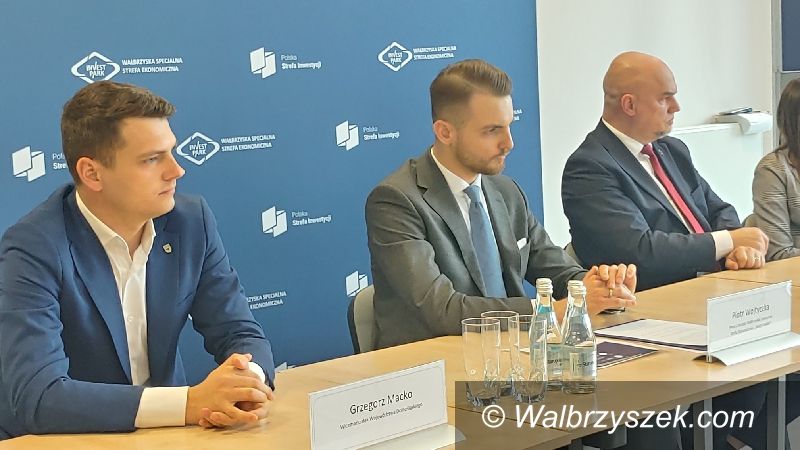Wałbrzych: Strefa pomaga
