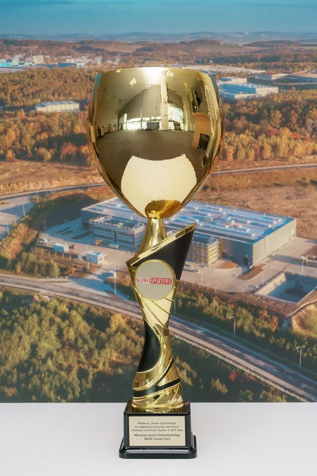 Wałbrzych/REGION: WSSE mecenasem sportu
