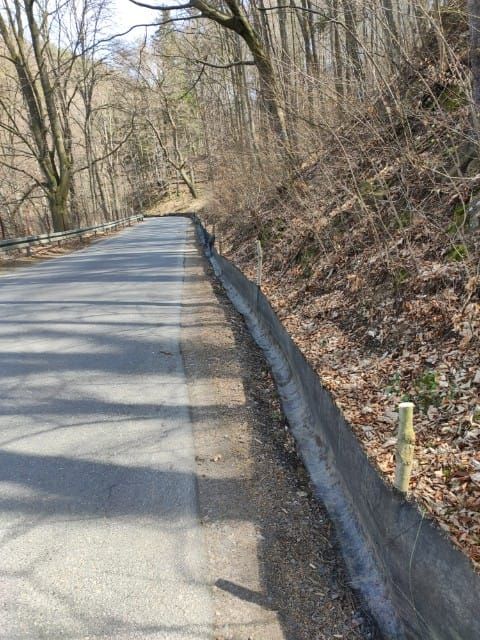 REGION, Zagórze Śląskie: Uważajmy na żaby