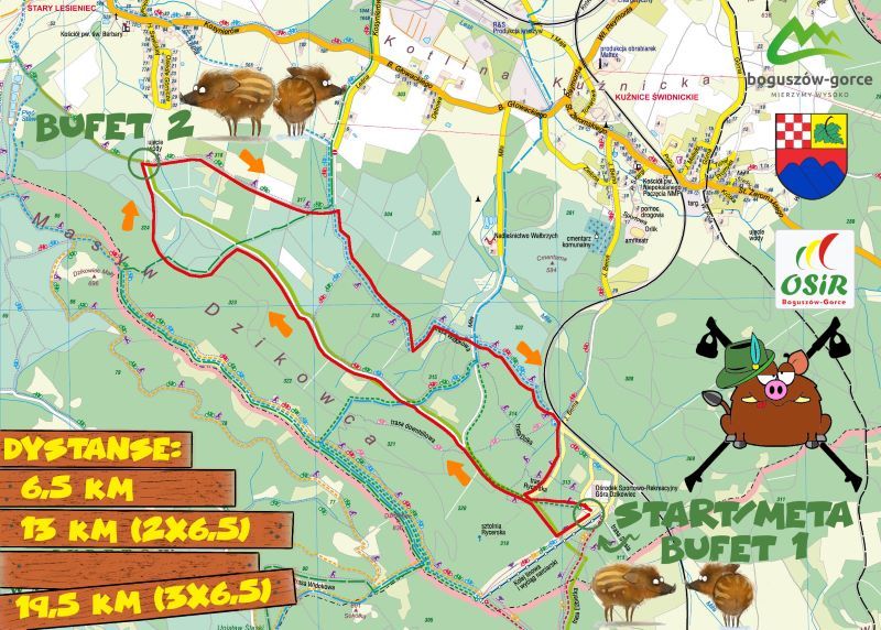 REGION, Boguszów-Gorce: Coś dla miłośników kijków