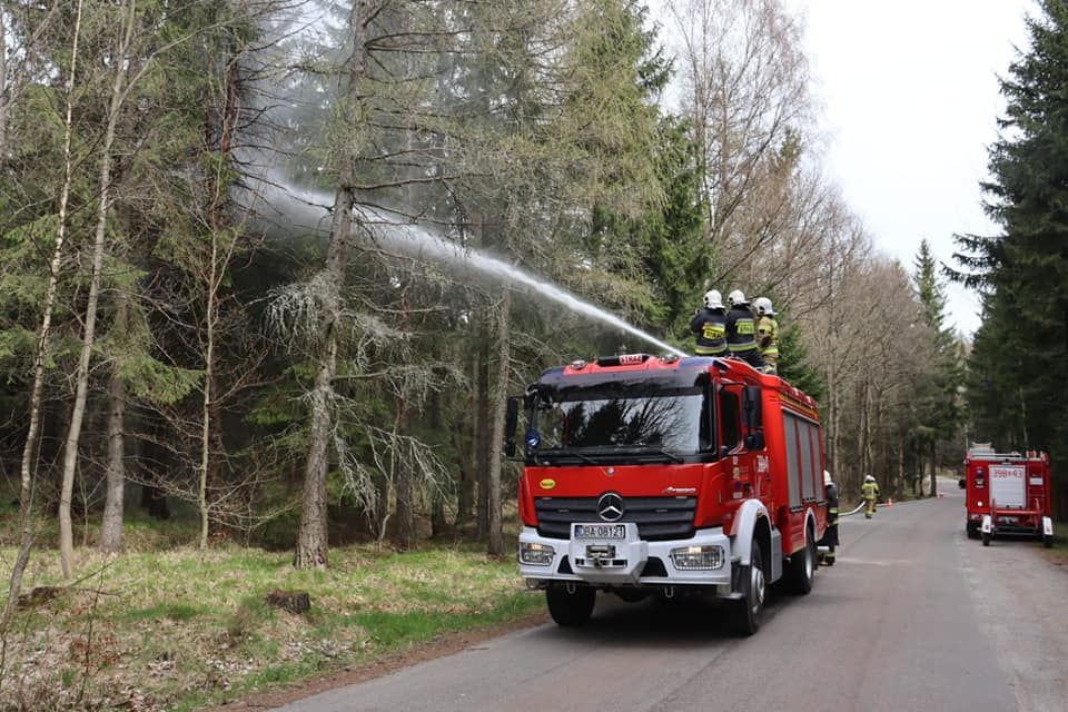 REGION, Boguszów-Gorce: Zawsze gotowi