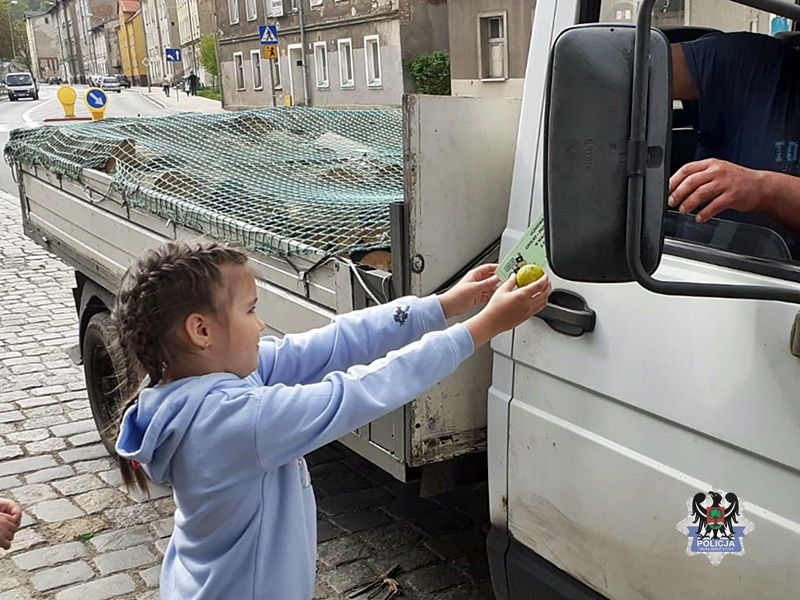 Wałbrzych: Jabłko czy cytryna?