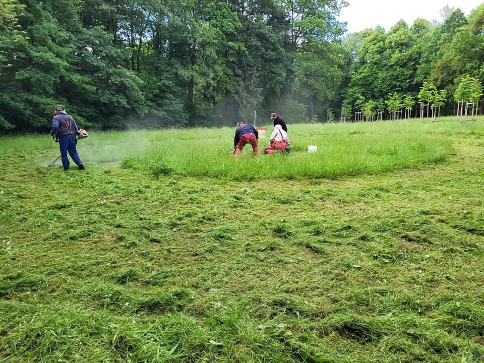 Wałbrzych: Powstaje pole do disc golfa