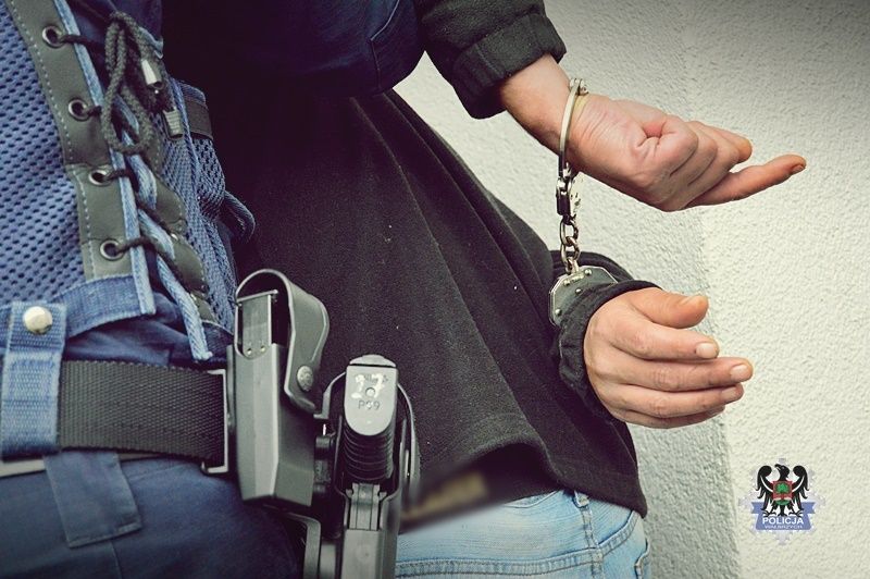 REGION, Mieroszów: Kopnął psa – odpowie przed sądem