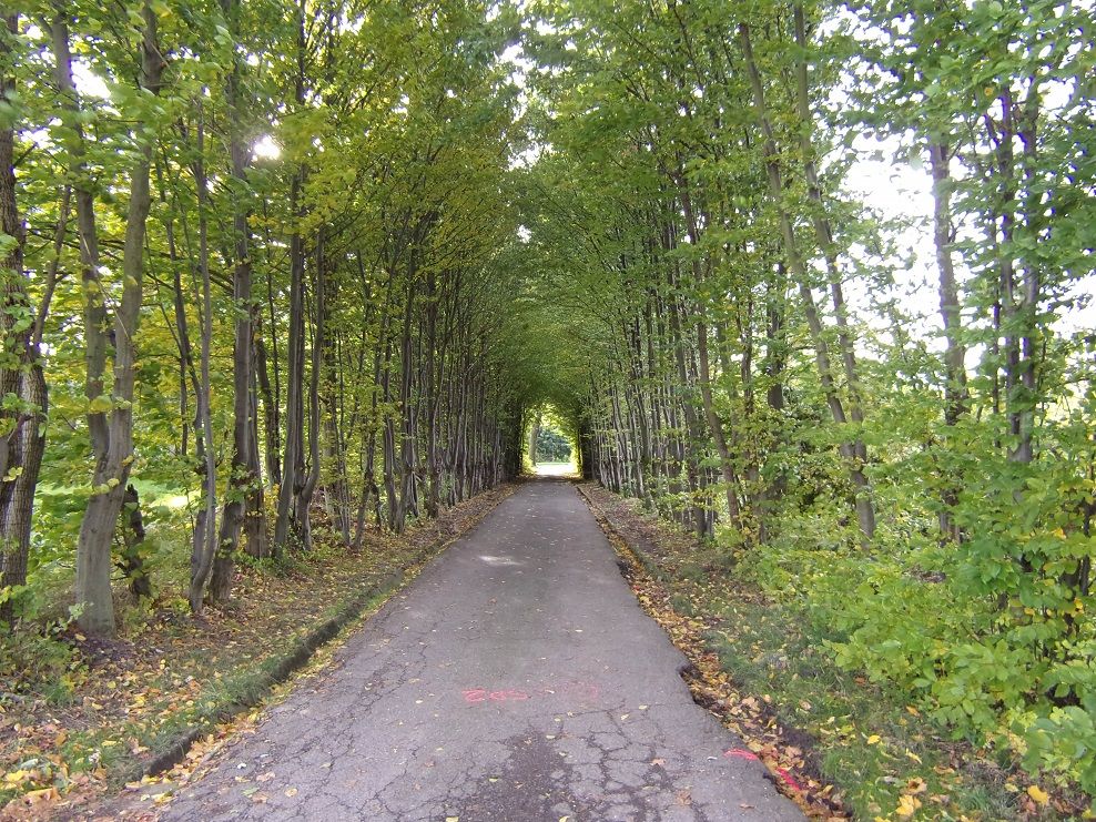 REGION, Boguszów-Gorce: Na parking i drogę