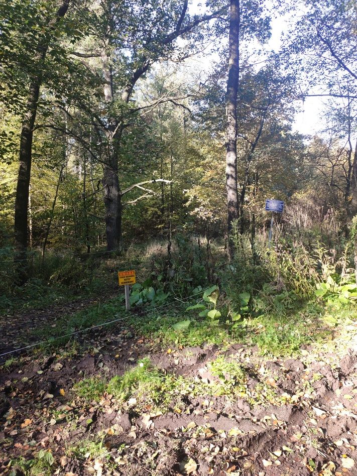 REGION: Utrudnienia na szlakach