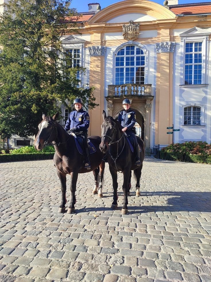 Wałbrzych: Patrol konny zdaje egzamin