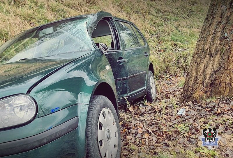 REGION, Zagórze Śląskie: Zatrzymał się na drzewie