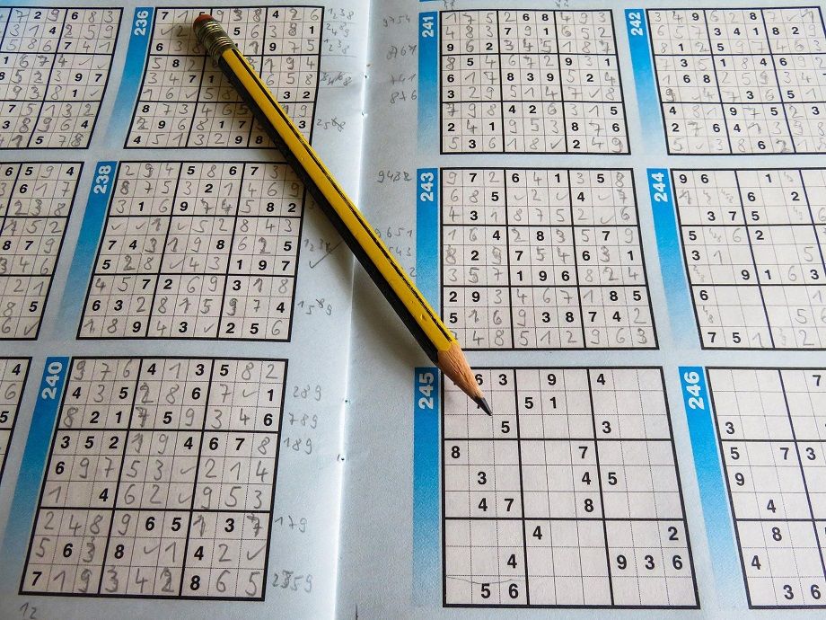 Wałbrzych/powiat wałbrzyski: Mistrzowie sudoku