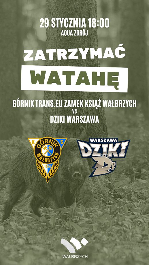 Wałbrzych/Kraj: Chcą upolować Dziki