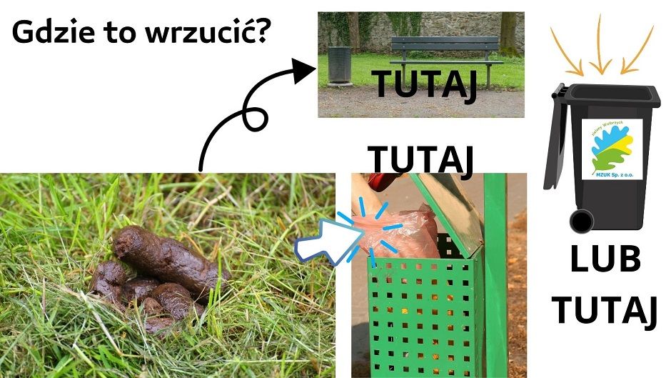 Wałbrzych: Sprzątanie po psach to nasz obowiązek