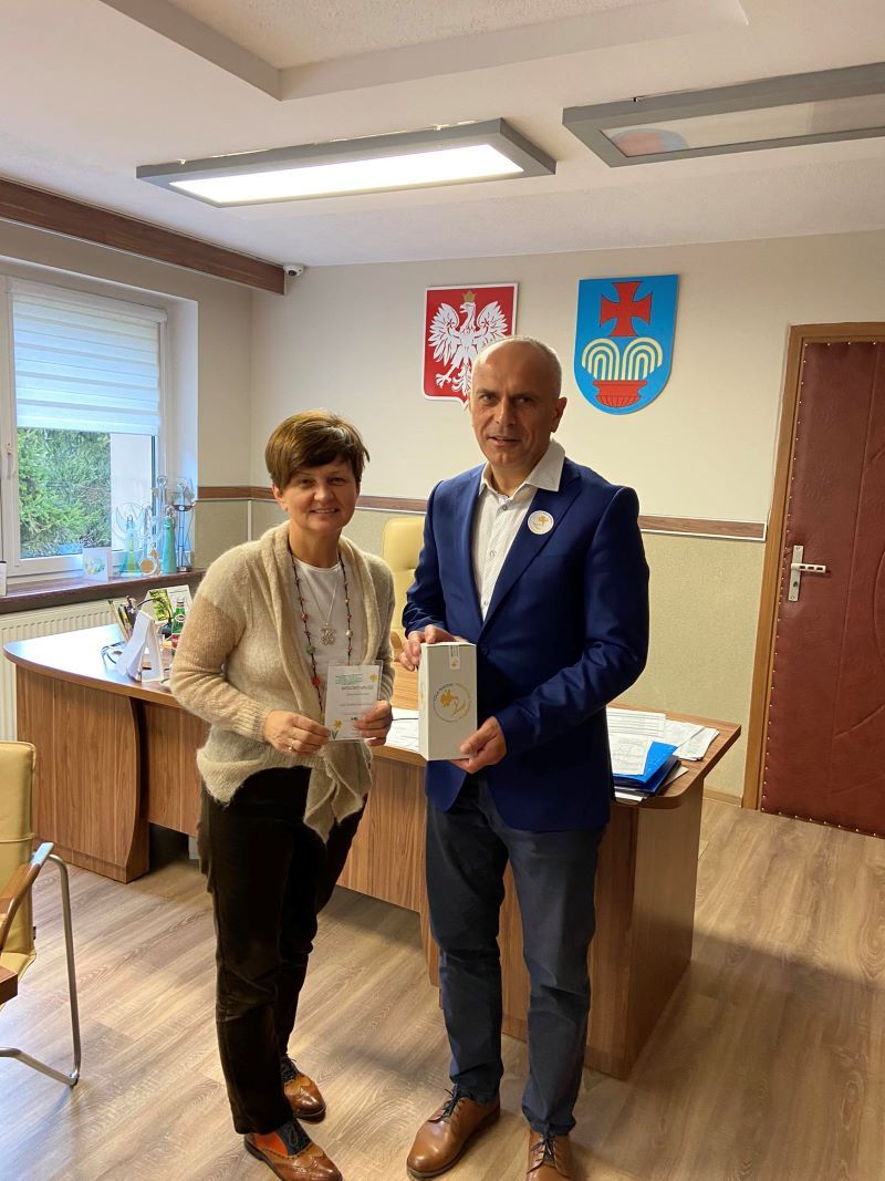 Wałbrzych/Stare Bogaczowice: Żonkilowa kwesta