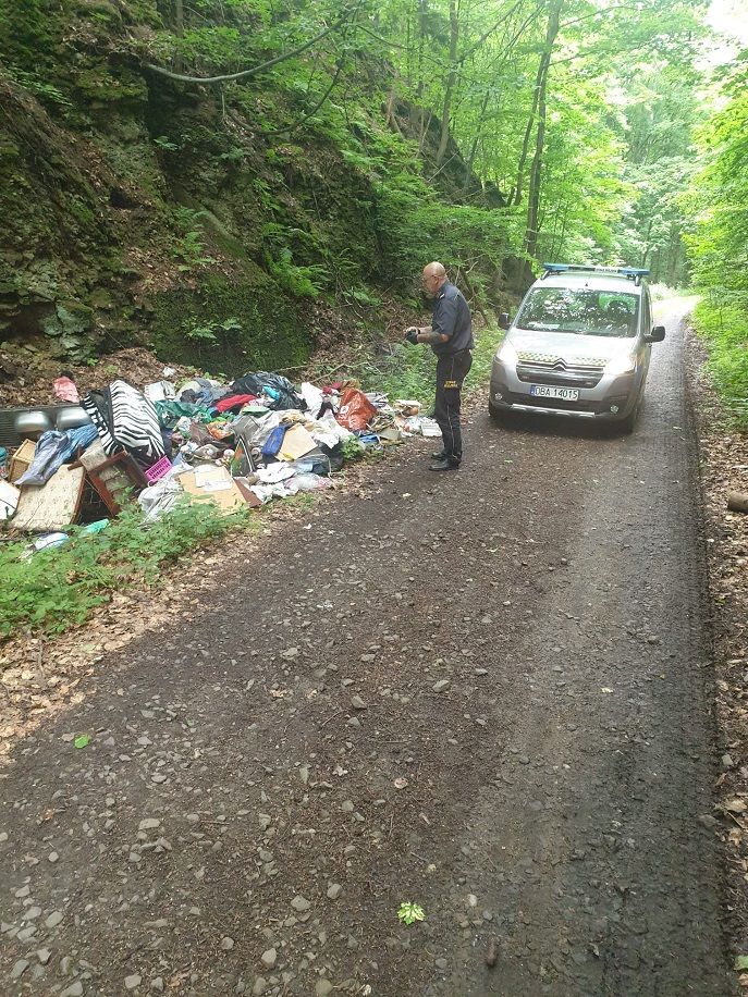 REGION, Boguszów-Gorce: Sprawca wykryty